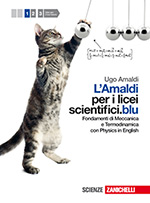 L'Amaldi per i licei scientifici blu — Copertina blu