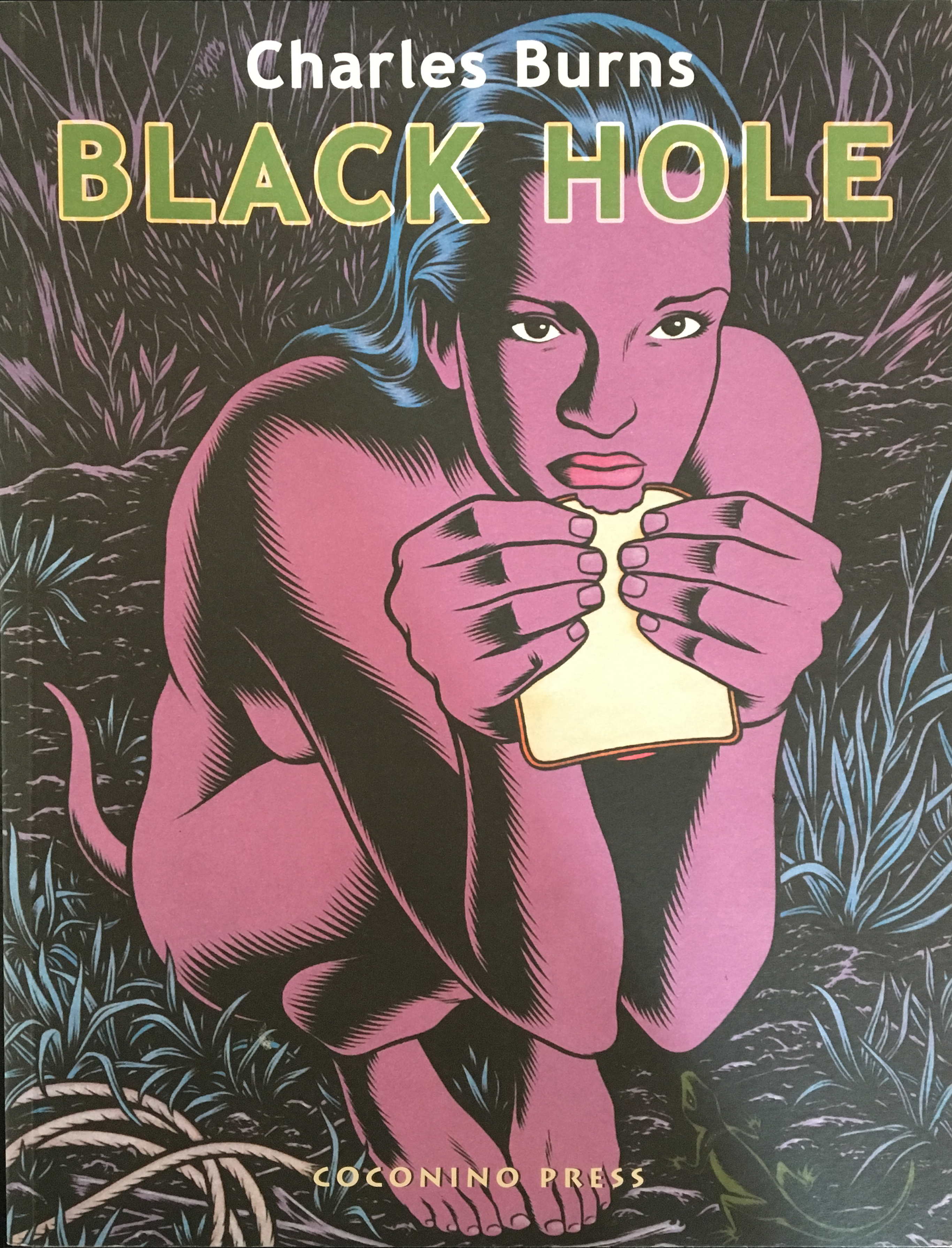 Black Hole — Charles Burns